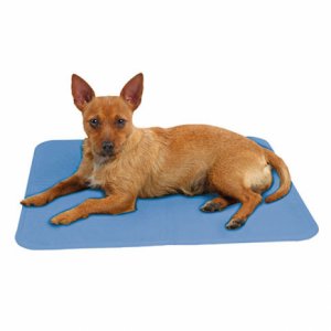 Δροσιστικό Χαλάκι για Κατοικίδια - Pet Cooling Mat