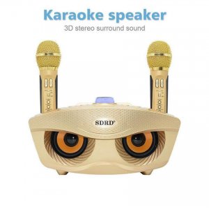 Φορητό Ηχοσύστημα Bluetooth USB,SD Karaoke Με 2 Μικρόφωνα Mp3 Player - Multimedia Speaker
