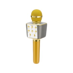 Ασύρματο Bluetooth Mικρόφωνο KARAOKE &amp; Hi-Fi Hχείο WSTER WS-1688 Χρυσό