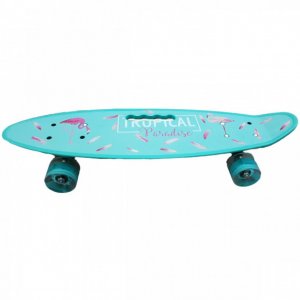 Penny Board Skateboard 22 - Τροχοσανίδα Σκέητμπορντ με Τροχούς &amp; Λαβή 55x14x9.5cm - Flamingo