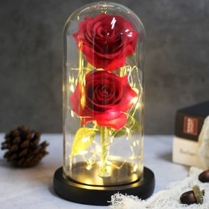 Forever 2 Παντοτινά Τριαντάφυλλα σε Γυάλινο Βάζο με Θερμό LED Φωτισμό 19x11cm - Κόκκινα