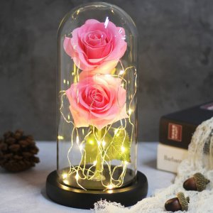 Forever Rose 2 Παντοτινά Τριαντάφυλλα σε Γυάλινο Βάζο με Θερμό LED Φωτισμό 19x11cm - Ροζ
