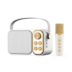 Mini Σύστημα Καραόκε με Ασύρματο Μικρόφωνο Bluetooth, USB, AUX, Type C &amp; TF Card
