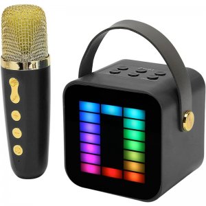 Φορητό Ηχείο Ηχοσύστημα Bluetooth Καραόκε με Ασύρματο Μικρόφωνο Bluetooth Λειτουργία Εγγραφής Ήχου Μαύρο