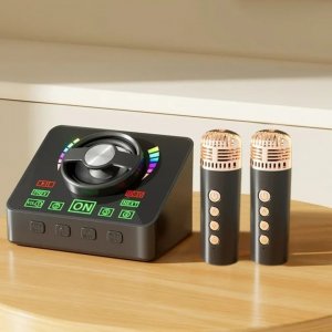 Ασύρματο Ηχείο Bluetooth Karaoke με 2 Μικρόφωνα, USB &amp; TF Card