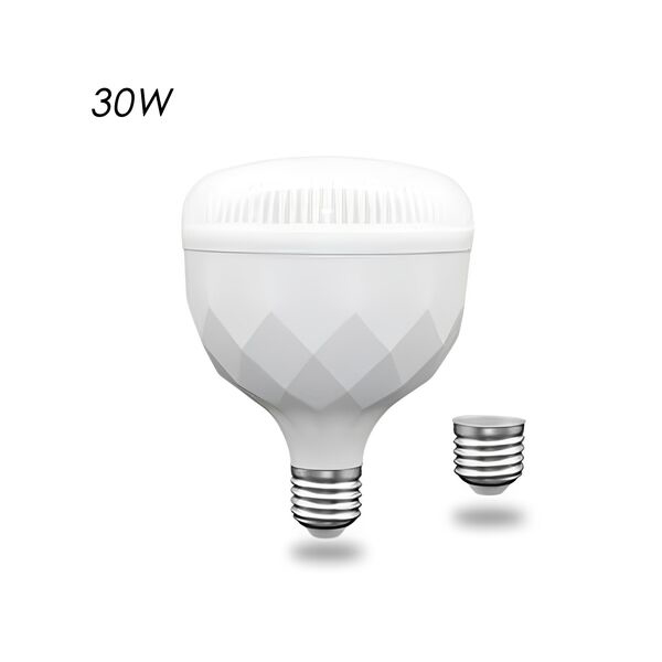 Led Λάμπα Ψυχρού Λευκού Φωτισμού E27 30W 220V 2400LM 6500K