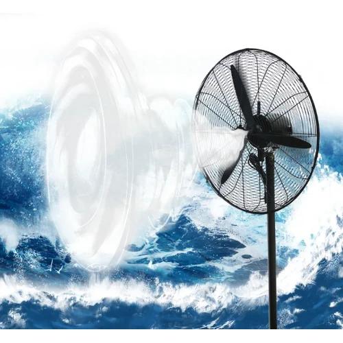 Επιδαπέδιος Περιστρεφόμενος Ανεμιστήρας με Χρονοδιακόπτη 230W 66cm Πτυσσόμενος Ορθοστάτης με 3 Ταχύτητες Μαύρο SDS-21149