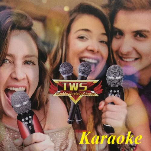 Μικρόφωνο Karaoke Ασύρματο Andowl Q-MC899 Κόκκινο