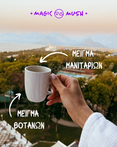 RISE & VIBE: Φυσική Ενέργεια, Συγκέντρωση, Διαύγεια & Ευεξία, Αντοχή & Δύναμη Κάθε Μέρα