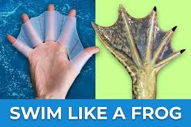 Επαναστατικά Χεράκια Κολύμβησης με Μεμβράνη Αντιολισθητική - Κολυμπήστε 23% Ταχύτερα - Hydrahand Χέρια Βατραχιού με τεχνολογία Hydro Grip