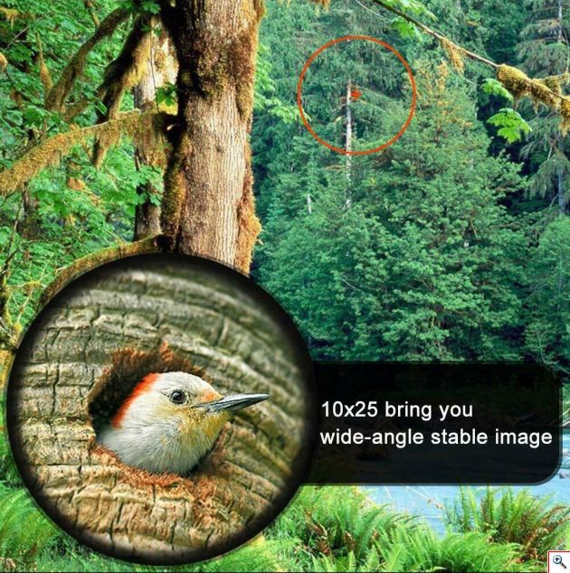 Compact Αδιάβροχα Κιάλια Near Focus BAK4 Wide Angle 10x25 Υψηλής Φωτεινότητας με Ρύθμιση Μυωπίας