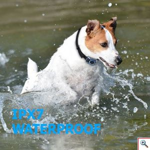 Αδιάβροχο Κολάρο Εκπαίδευσης Σκύλων Ρυθμιζόμενου Μεγέθους με 3 Λειτουργίες Ήχου - Δόνησης - Ηλεκτροσόκ - 100 Επίπεδα Έντασης & Χειριστήριο 600μ Τ700