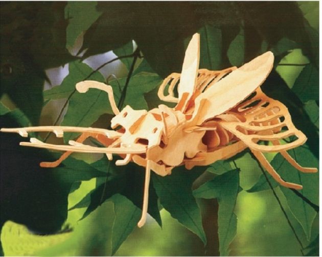 Ξύλινο Τρισδιάστατο Πάζλ - Κατασκευή Σκαθάρι