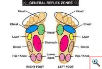 Επιθέματα Πελμάτων KINOKI - Antitox Gold Edition για αποτοξίνωση του οργανισμού.