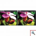 Φακός για Κάμερα Κινητών Duo Lens - Paladone