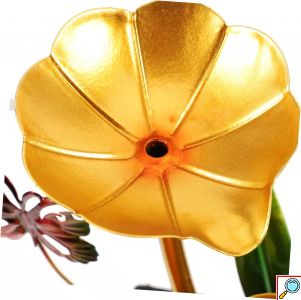 Διακοσμητικό Συντριβάνι Feng Shui Εσωτερικού και Εξωτερικού Χώρου 220V με Φωτισμό LED και Χρυσά Φύλλα 