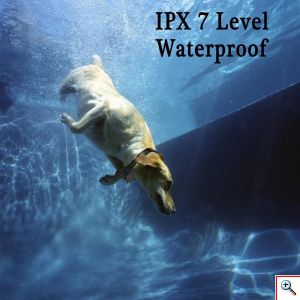 Επαναφορτιζόμενο Ηλεκτρονικό Κολάρο Εκπαίδευσης Σκύλου 2000 μέτρων - Dog Trace