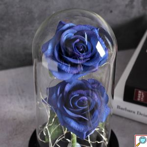 Forever Rose 2 Παντοτινά Τριαντάφυλλα σε Γυάλινο Βάζο με Θερμό LED Φωτισμό 19x11cm - Μπλε
