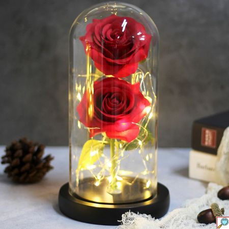 Forever Rose 2 Παντοτινά Τριαντάφυλλα σε Γυάλινο Βάζο με Θερμό LED Φωτισμό 19x11cm - Κόκκινα