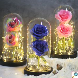 Forever Rose 2 Παντοτινά Τριαντάφυλλα σε Γυάλινο Βάζο με Θερμό LED Φωτισμό 19x11cm - Ροζ