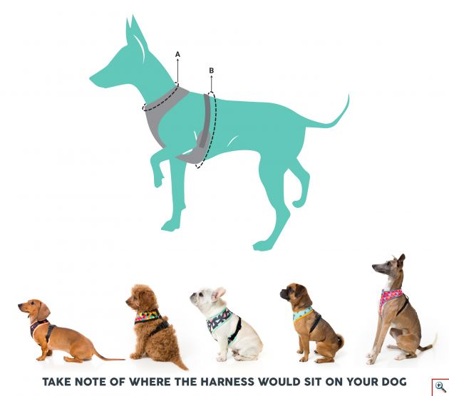 Εκπαιδευτικό Σαμαράκι Υψηλής Αντοχής, Μεταλλικό clip, Μαξιλάρι Στήθους & Ράχης με Περίμετρο Στήθους 40-55cm 