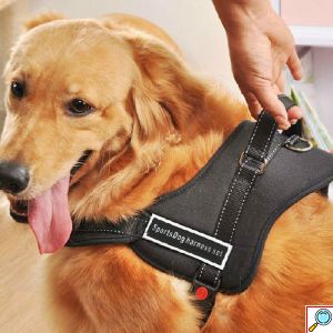 Εκπαιδευτικό Ρυθμιζόμενο Σαμαράκι - Λουρί Σκύλου - SportsDog Harness Set Small Μαύρο
