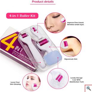 Συσκευή Μασάζ Προσώπου 4 σε 1 - Needle Roller Σύστημα με Μικροακίδες