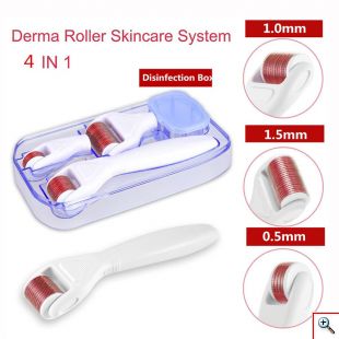 Συσκευή Μασάζ Προσώπου 4 σε 1 - Needle Roller Σύστημα με Μικροακίδες