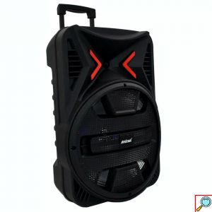 Φορητό Ασύρματο Bluetooth Ηχείο με Μικρόφωνο για Καραόκε και RGB Φωτισμό 5000W 