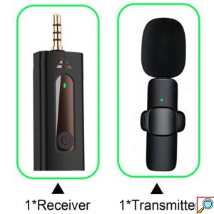 Ασύρματο Επαγγελματικό Επαναφορτιζόμενο Μικρόφωνο Πέτου 