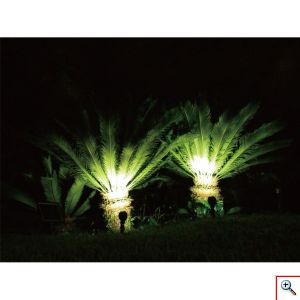 Φωτιστικό Κήπου Led 5W Cool Daylight Καρφωτό 003D-1-ΟΕΜ