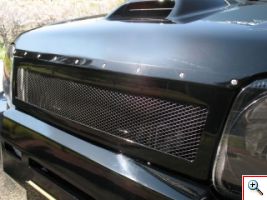 Διακοσμητική Σίτα Προφυλακτήρα Αυτοκινήτου 100x33εκ