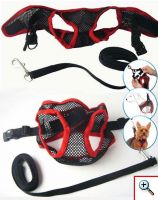 Πρωτότυπο Λουράκι για μικρά σκυλάκια Comfy Control