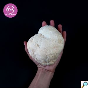 Mushroom SuperBlend