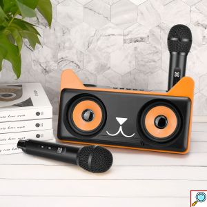 Σύστημα Karaoke με ασύρματα μικρόφωνα και SD, USB, AUX, TF μαύρο