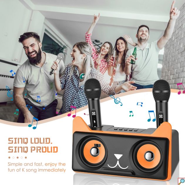 Σύστημα Karaoke με ασύρματα μικρόφωνα και SD, USB, AUX, TF μαύρο