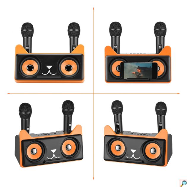 Σύστημα Karaoke με ασύρματα μικρόφωνα και SD, USB, AUX, TF μαύρο