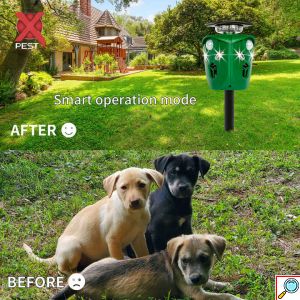 Αυτόνομο Hλιακό Aπωθητικό Zώων Υπερήχων με Aνιχνευτές Kίνησης 360° για 700m² – Πράσινο