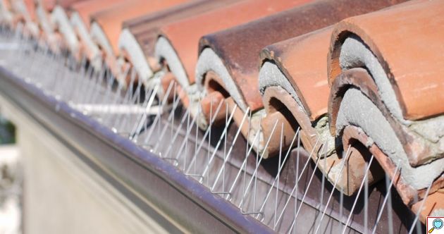 Ακίδες Απώθησης Πουλιών 50cm με Πλαστική Βάση