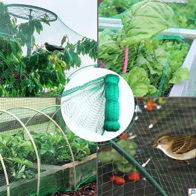 Προστατευτικό Δίχτυ Κήπου για Πτηνά 4x6 m