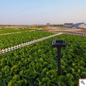 Σετ 2 τεμάχια Ηλιακός Απωθητής Τρωκτικών με Υπερήχους για Εξωτερικούς Χώρους