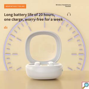 Ασύρματα Bluetooth Ακουστικά με Θήκη Φόρτισης - Diinami
