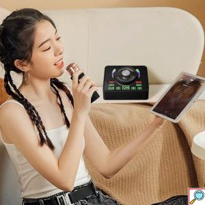 Ασύρματο Ηχείο Bluetooth Karaoke με 2 Μικρόφωνα, USB & TF Card