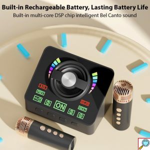 Ασύρματο Ηχείο Bluetooth Karaoke με 2 Μικρόφωνα, USB & TF Card