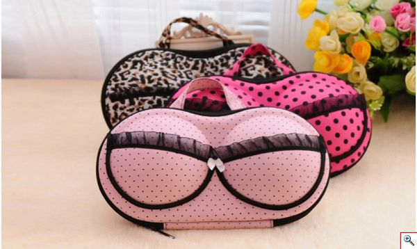 Θήκη Ταξιδιού - Φύλαξης για Σουτιέν - Bra Storage Travel Kit 