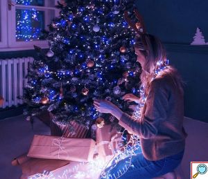 Χριστουγεννιάτικα Λαμπάκια 1000 LED 50m Λευκό/Μπλε -Φωτισμός για Εσωτερικό και Εξωτερικό Στολισμό