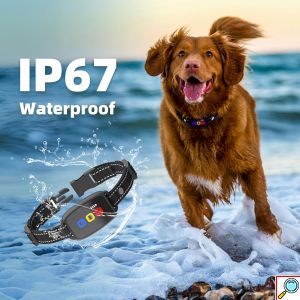 Εκπαιδευτικό Κολάρο Σκύλου με Τηλεχειριστήριο - Συσκευή Εκπαίδευσης για Σκύλους Ρυθμιζόμενο Αδιάβροχο Μαύρο - Eμβέλεια έως 800 μέτρα