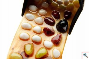 Παντόφλες Μασάζ με Πέτρες για Ρεφλεξολογία - Foot Treasure Reflex Massage Slippers