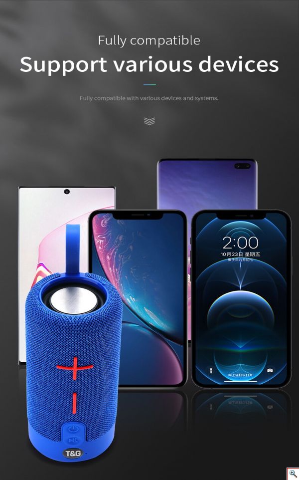 Φορητό Ηχείο Bluetooth 10W, Stereo Surround, 2 Full Range Μεγάφωνα, Μικρόφωνο, USB, AUX, Κάρτα Μνήμης, FM Radio, Διάφορα Χρώματα, T&G, TG-619