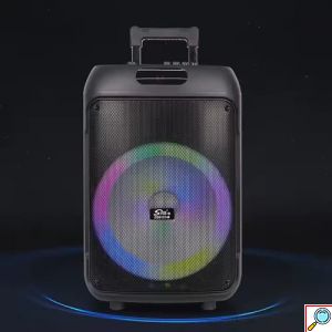 Φορητό Bluetooth Ηχείο Karaoke με 2 Μικρόφωνα, Τηλεχειριστήριο & LED Φωτισμό